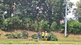 Bild 6 Schlupek in Ulm