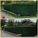 Bild 3 Havrylovskyi in Heilbronn