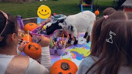 Bild 6 Belser in Berg