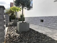 Bild 1 Djurasevic in Ilsfeld