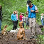 Bild 4 Hubl in Stuttgart