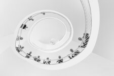 Bild 5 Strigel in Lindau