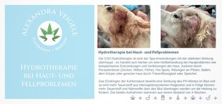 Bild 3 Hundesalon Alexandra Veigele Hundefriseurin + Wellness für Hunde in Balingen