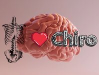Bild 1 Praxis Schweikert Osteopathie Chiropraktik in Esslingen am Neckar