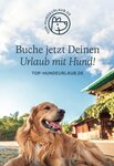 Bild 7 Wilson & Friends GmbH Top-Hundeurlaub.de in Lindau (Bodensee)