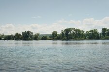 Bild 1 Floßbau Bodensee in Allensbach