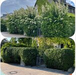 Bild 2 Havrylovskyi in Heilbronn