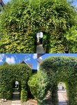 Bild 4 A|E Haus-Gartenservice in Sigmaringen