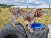 Bild 7 Hubl in Stuttgart