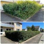 Bild 1 Havrylovskyi in Heilbronn