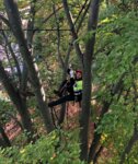 Bild 5 Baumpflege Gröber in Eigeltingen