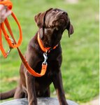 Bild 2 Hubl in Stuttgart