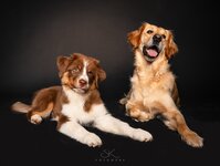 Bild 5 SK FOTOWERK in Waldstetten