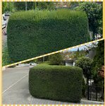 Bild 10 Havrylovskyi in Heilbronn