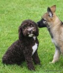 Bild 1 Hubl in Stuttgart