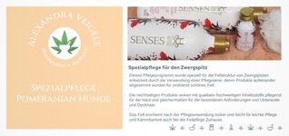 Bild 1 Hundesalon Alexandra Veigele Hundefriseurin + Wellness für Hunde in Balingen
