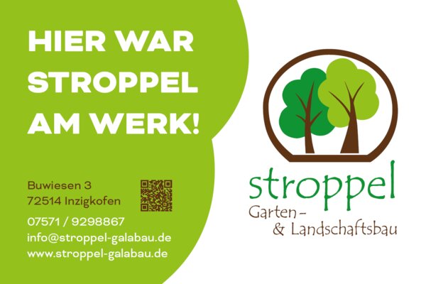 Bild1