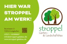 Bild1