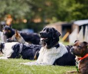 Bild 5 Hubl in Stuttgart