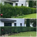 Bild 9 Havrylovskyi in Heilbronn