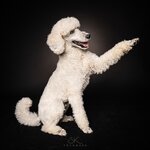 Bild 3 SK FOTOWERK in Waldstetten