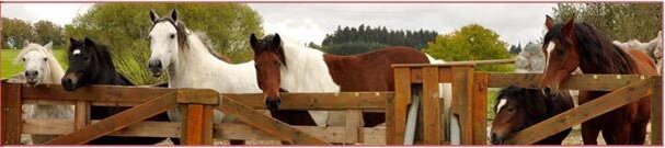 Bild 2 Munz in Illmensee