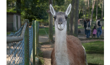 Kundenbild groß 2 Natur- und Tierpark Kerren, Stephan