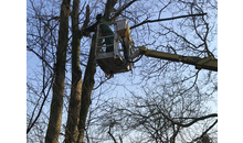 Kundenbild groß 6 Gartenbau Boelmann Inh. Fehmi Rexhepi