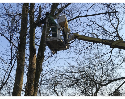 Kundenfoto 6 Gartenbau Boelmann Inh. Fehmi Rexhepi