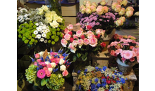 Kundenbild groß 7 Blumenhaus Peschel OHG