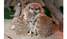 Kundenbild groß 9 Natur- und Tierpark Kerren, Stephan