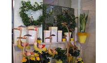 Kundenbild groß 6 Blumenhaus Peschel OHG