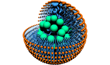 Kundenbild groß 1 Solmic Biotech GmbH