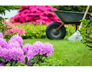 Kundenfoto 1 Gartengestaltung Polland