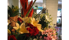 Kundenbild groß 3 Blumenhaus Peschel OHG