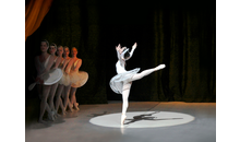 Kundenbild groß 2 Muchka Ballettschule