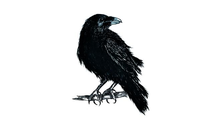 Kundenbild groß 1 Naturelines GbR