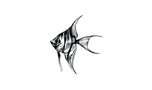 Kundenbild groß 4 Naturelines GbR