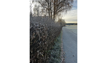 Kundenbild groß 1 Obermeier Lukas