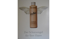 Kundenbild groß 5 Hipp Martina Friseursalon Hair Emotion