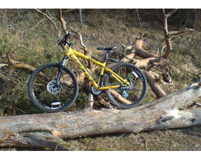 Kundenfoto 1 FAHRRÄDER S & S Bikes