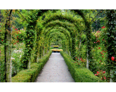 Kundenfoto 4 Zur Silberdistel Gartengestaltung