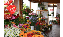 Kundenbild groß 10 Blumen - Schmid