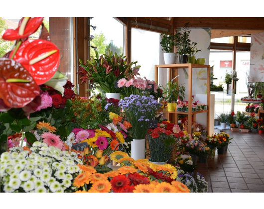 Kundenfoto 10 Blumen - Schmid