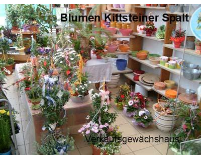 Kundenfoto 1 Kittsteiner Gärtnerei