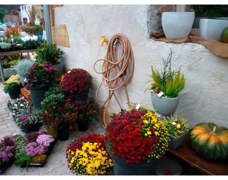Kundenfoto 8 Blumen und Schönes Naturnah