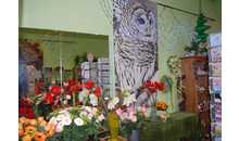 Kundenbild groß 7 Wölfel Blumenstube Elke