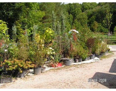 Kundenfoto 1 Radke Thomas Garten- u. Landschaftsbau