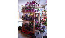 Kundenbild groß 3 Bayerl Floristik Blumen