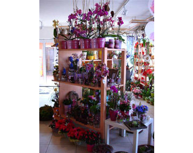 Kundenfoto 3 Bayerl Floristik Blumen